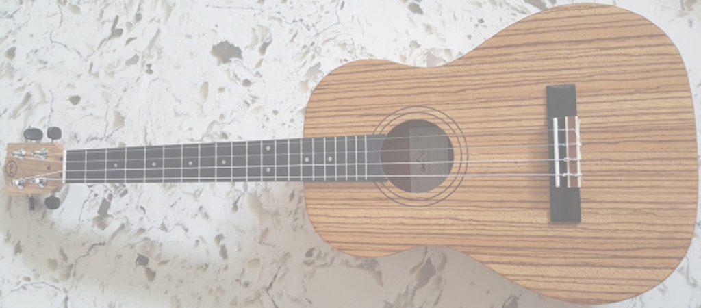 Twisted Wood Baritone Ukulele